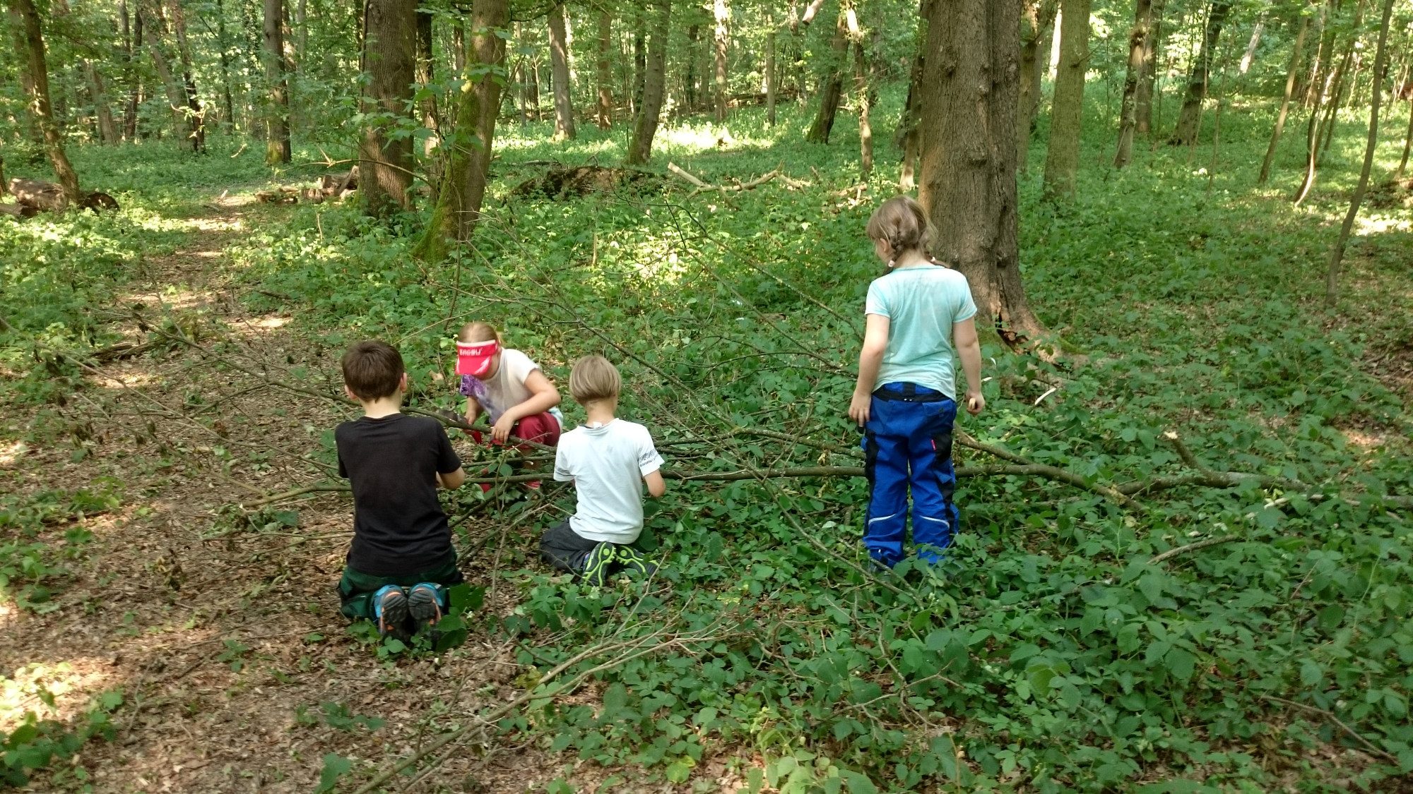 Kinder im Wald